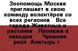 Зоопомощь.Москва приглашает в свою команду волонтёров со всех регионов - Все города Животные и растения » Пропажи и находки   . Чувашия респ.,Алатырь г.